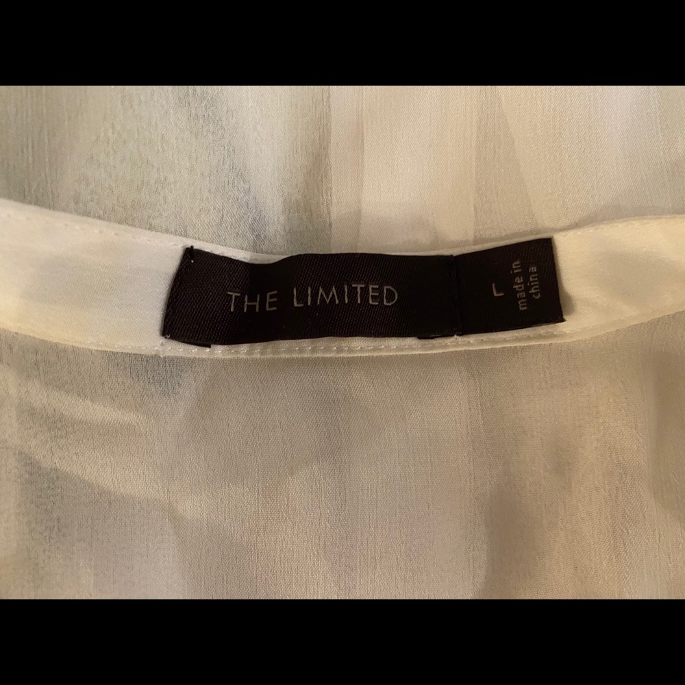 The Limited Sheer Ruffled Blouse - Picture 8 of 10